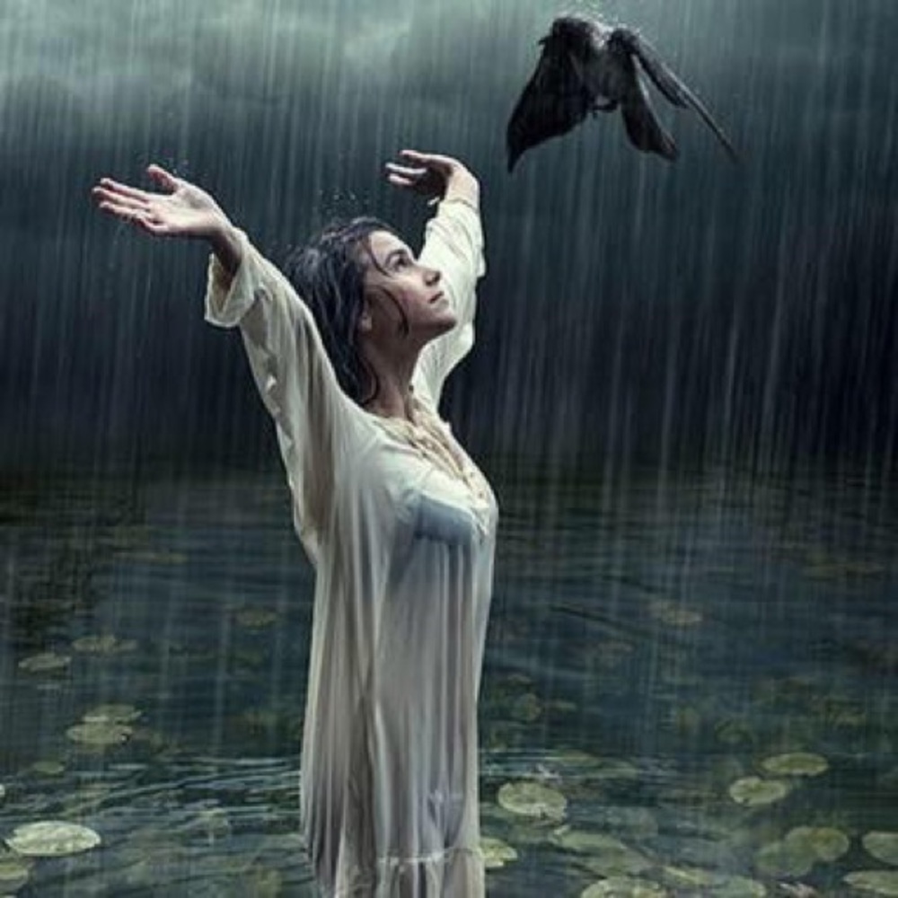 Meet your Posher, Susan